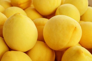 锦绣黄桃，黄桃新品种，黄桃树苗批发，黄桃树苗价格，好吃的黄桃，优质黄桃