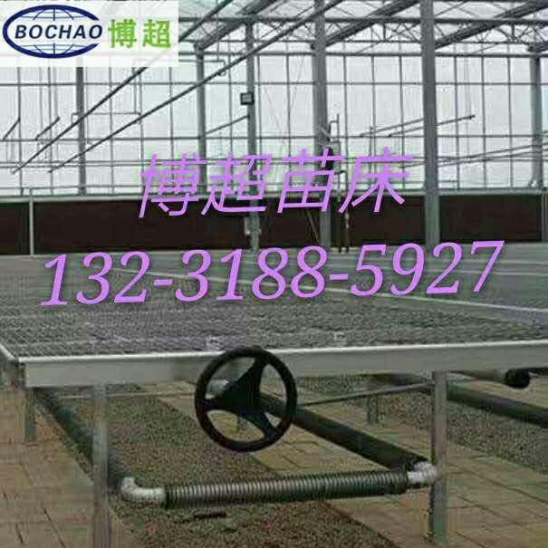 连栋温室移动苗床设计-价格-大棚苗床厂家北京