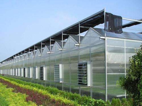 一亩地阳光板温室需要投资多少钱 青州阳光板智能连栋温室图片