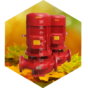 山东济南消防泵3CF认证XBD消 山东济南3CF认证XBD消防泵厂图片