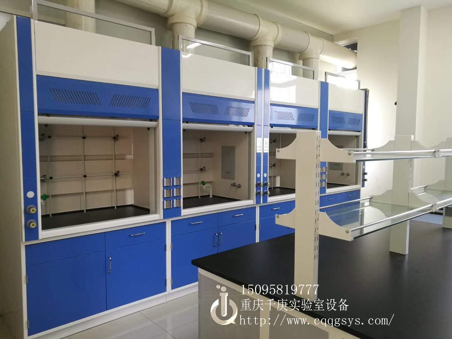 重庆实验室PP通风柜/全钢通风柜图片