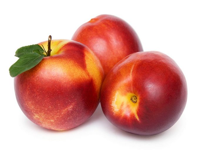 中油4号油桃 中油4号油桃新品种 优质中油4号油桃，新品种中油桃树苗