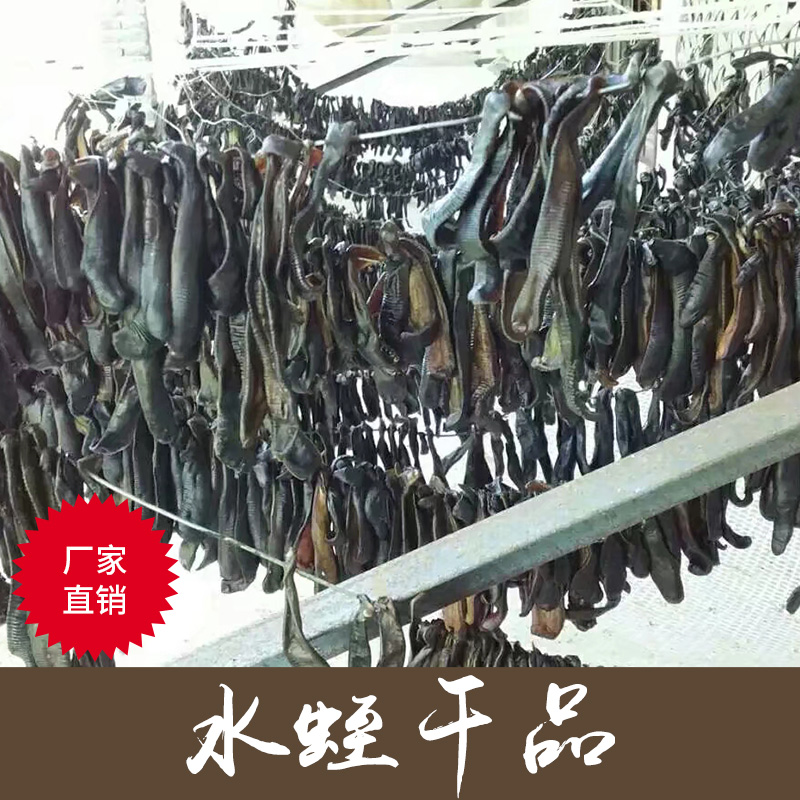 重庆水蛭干品厂家批发 大量出售水蛭干品 厂家直销图片
