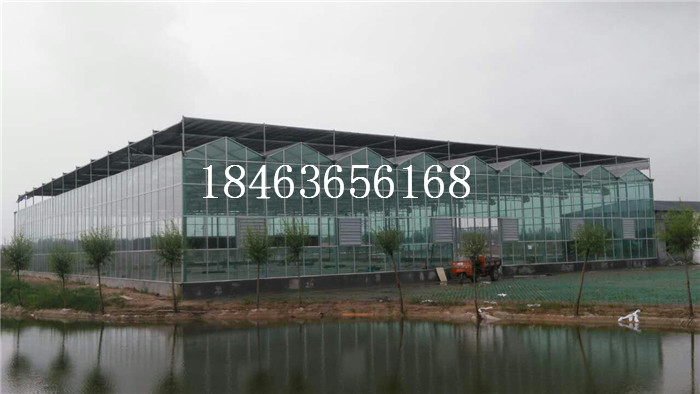 农业温室 山东玻璃温室大棚建设价格 玻璃温室建设厂家