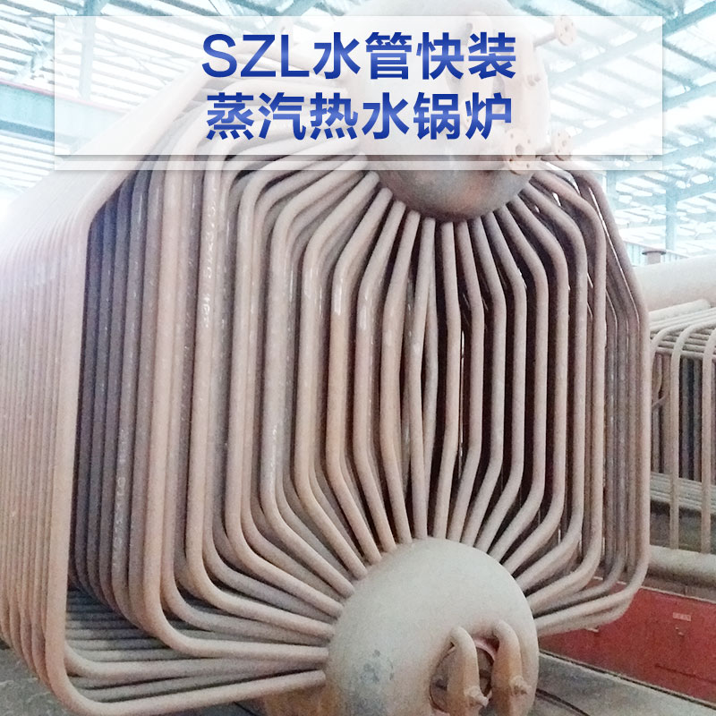 DZL螺纹管快装热水锅炉 厂家专业生产制造 全国直销 天燃气 燃油锅炉 价格合理