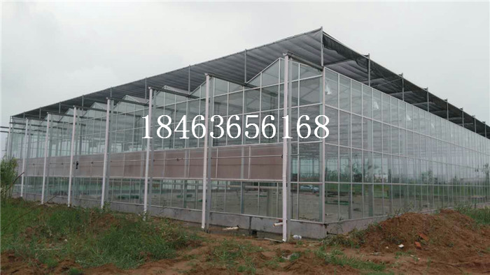 潍坊智能玻璃温室  温室价格 山东玻璃温室建设价格 青州玻璃温室大棚 潍坊市玻璃大棚厂家