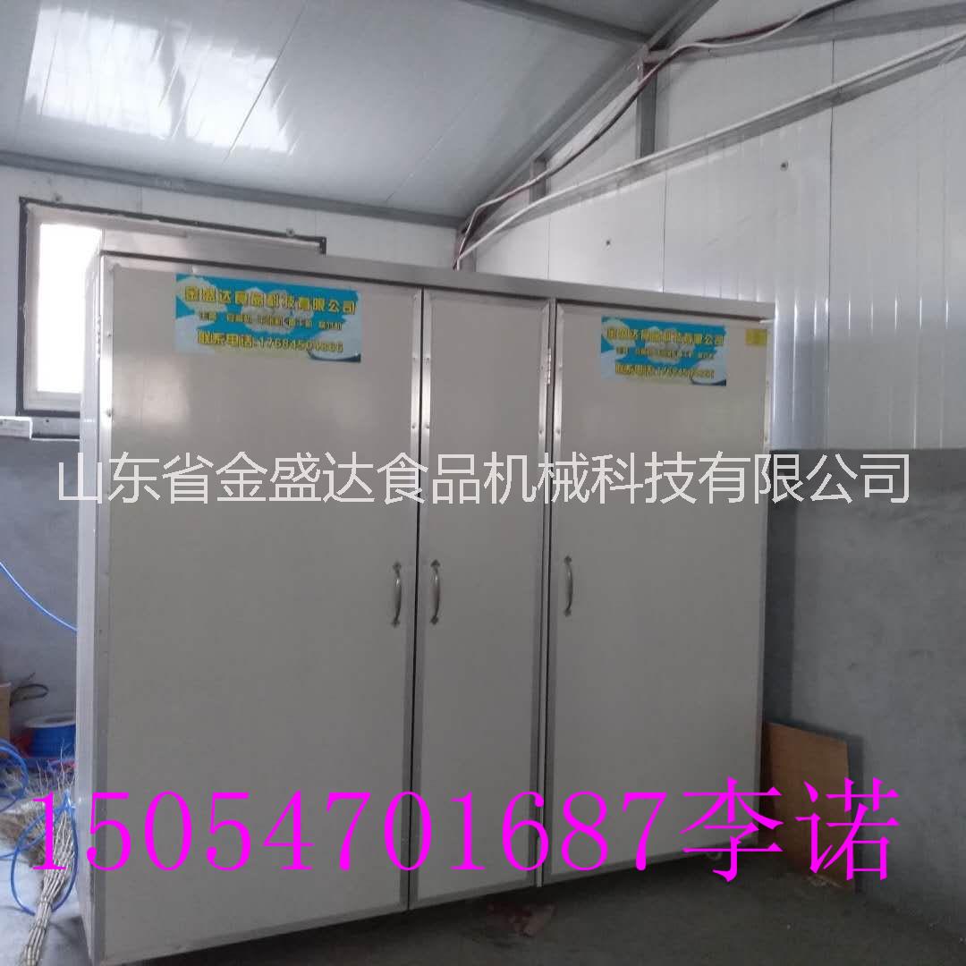 河南郑州小型豆芽机设备金盛达豆芽机多少钱一台包教技术