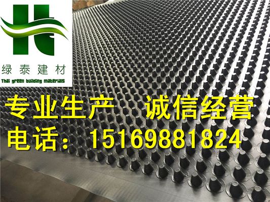 (优质厂家)2公分上海车库绿化排水板