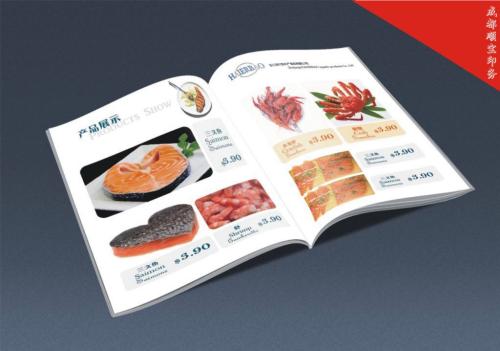 河北网络公司定制制作画册设计图片