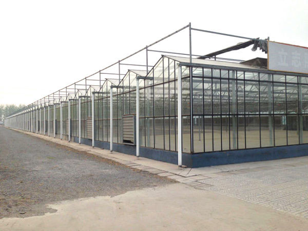 山东青州现代化农业观光智能玻璃温室大棚采摘园建设厂家图片