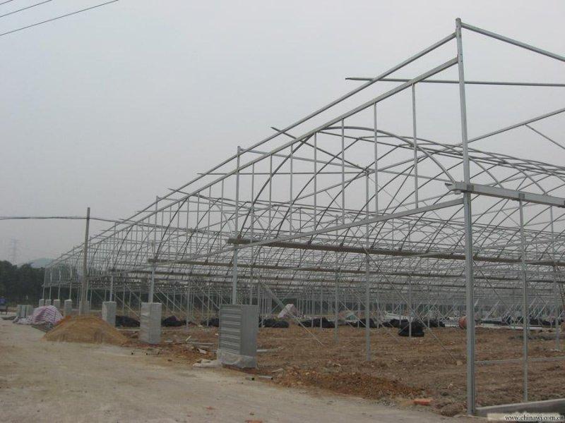 立体种植栽培用玻璃温室大棚立体种植栽培用玻璃温室大棚工程开放式现场搭建厂家