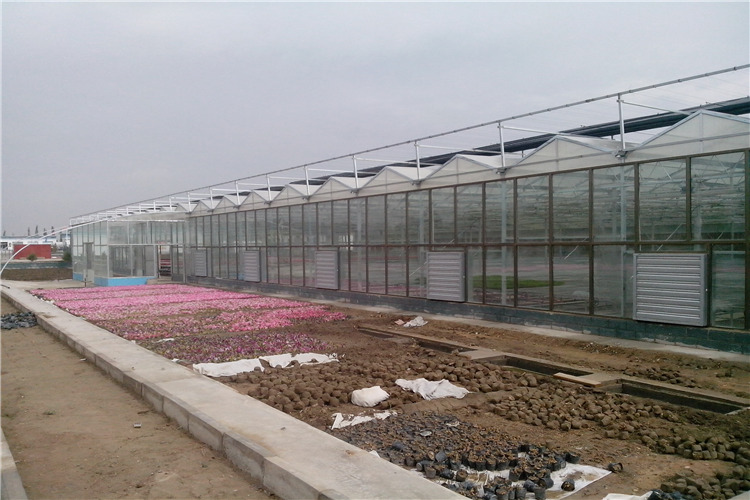 内蒙古玻璃种植温室阳光板生态餐厅、薄膜连栋蔬菜大棚、温室大棚建设厂家图片