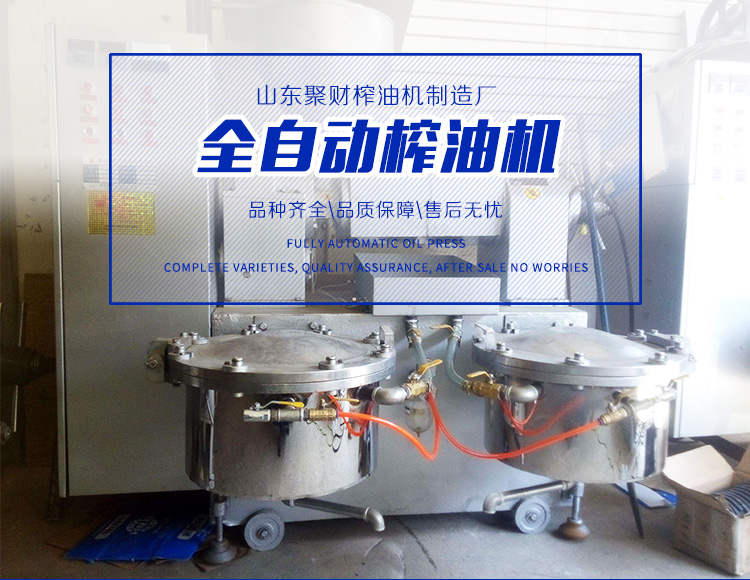 江苏南通市菜籽棉籽多功能榨油机哪有卖的 厂家免费安装指导