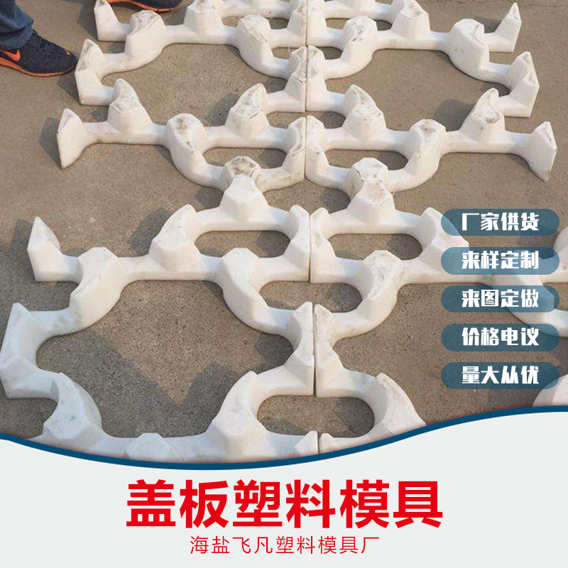 盖板塑料模具供应商，义乌盖板塑料模具供应商，台州盖板塑料模具供应商