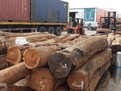 广州市俄罗斯木材进口货运代理、报关代理厂家