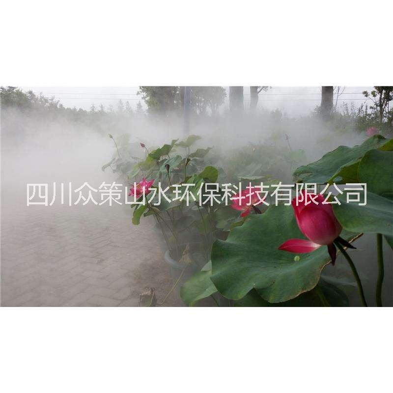 公园植物园/生态园/动物园冷雾景观设备 高压喷雾人造雾造雾机为您打造人间仙境图片