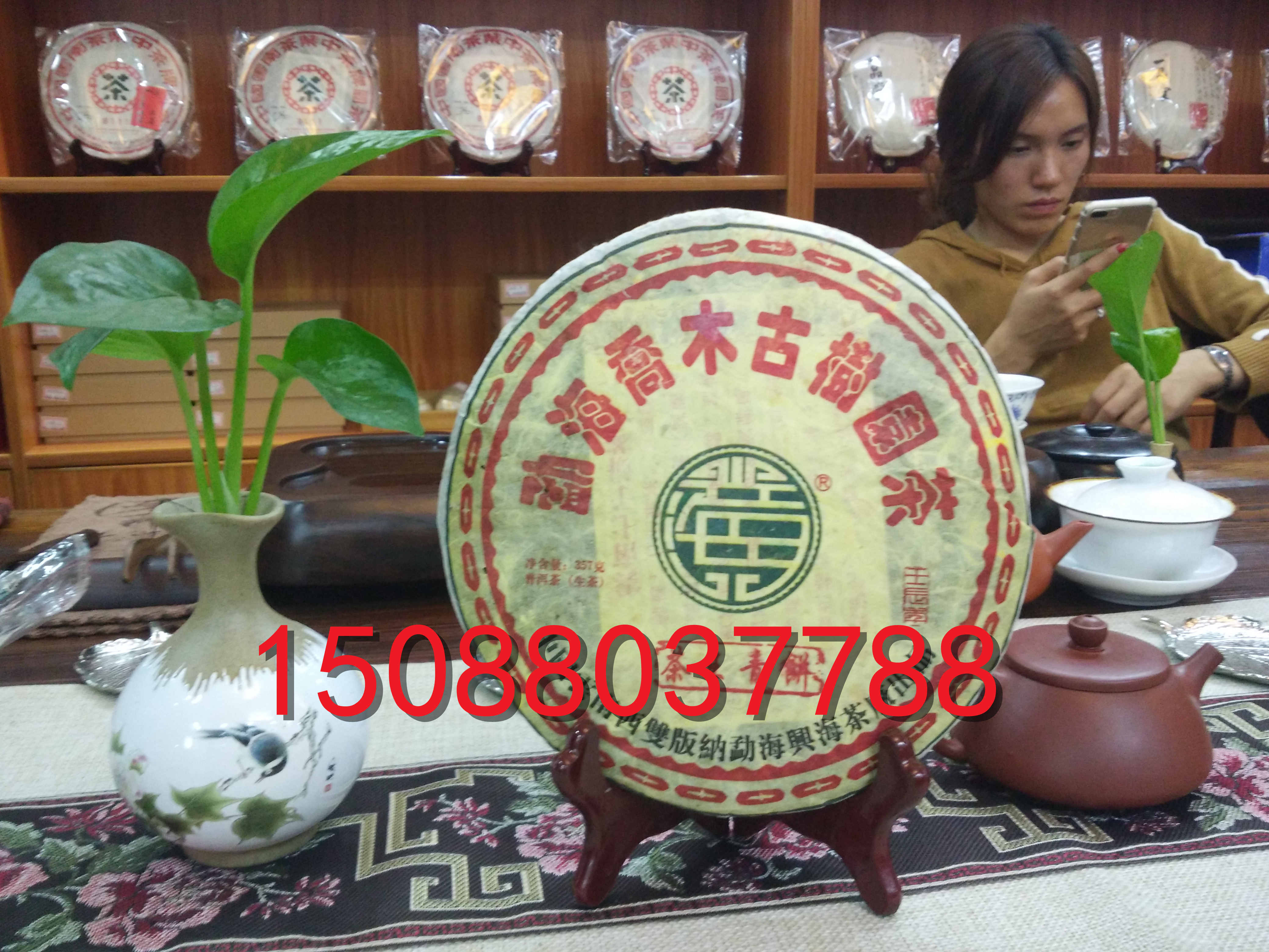 勐海乔木古树圆茶茶王青饼图片