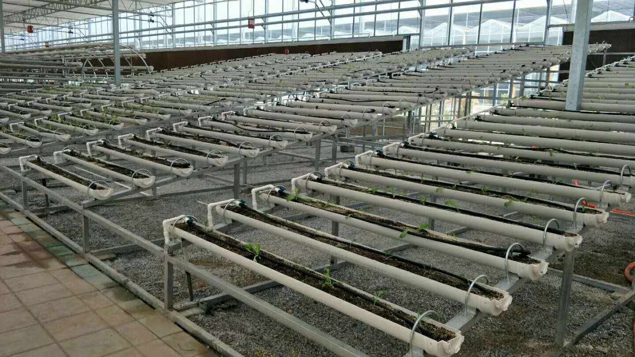 基质袋立体 栽培 温室大棚 果菜栽培 种植 立体种植