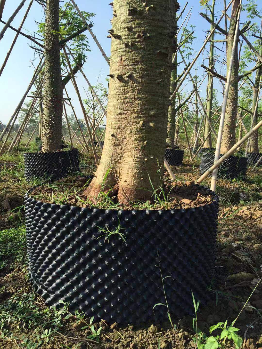 厂家直销 植树用控根器 快速种植控根器 塑料控根器
