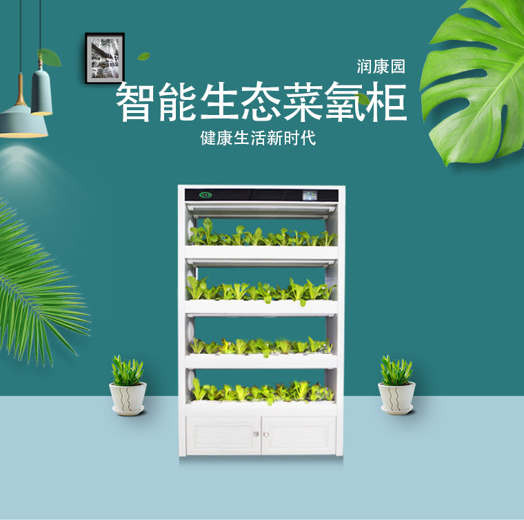 润康园 全智能蔬菜种植机无土栽培A001