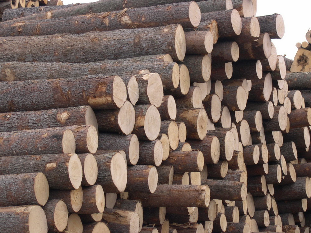 木材进口需要提供什么清关资料批发