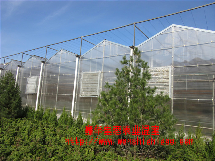 阳光板温室+阳光板温室建造+阳光板温室报价图片