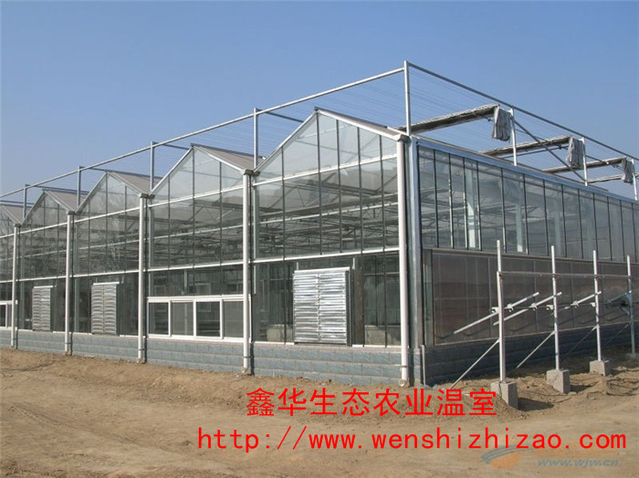 智能玻璃温室大棚 连栋玻璃温室  玻璃温室建设