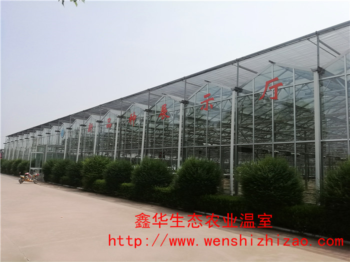 潍坊市玻璃温室大棚厂家【提问】山东玻璃温室大棚厂家哪家好-点这里咨询！