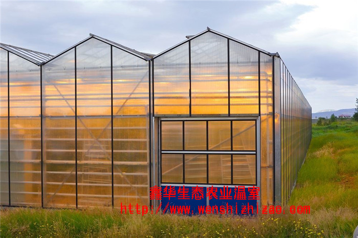潍坊市阳光板温室厂家阳光板温室+阳光板温室建造+阳光板温室报价