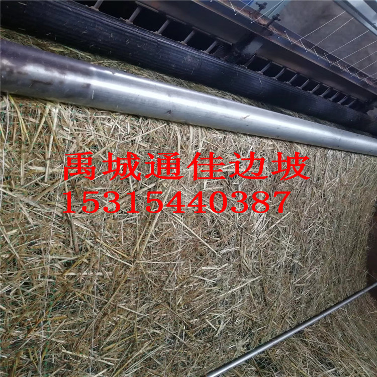 供应北京天津上海优质环保植草毯 植物纤维毯 椰丝毯