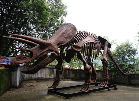 硅胶制作仿真恐龙模型 仿真动物制