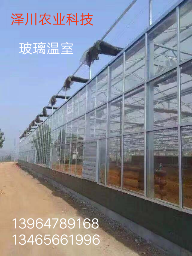 阳光板温室大棚设计生产安装图片