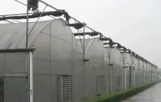 阳光板温室 农业种植栽培连栋式钢结构骨架日光温室大棚定制安装 阳光板温室建设图片