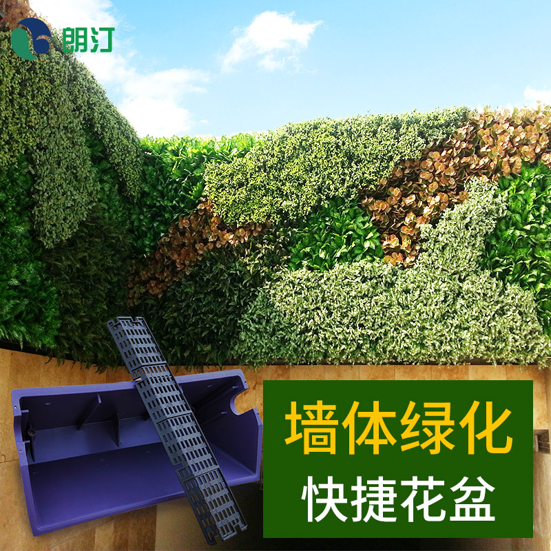 朗汀立体绿化 植物墙快捷花盆 垂直墙体绿化服务商图片