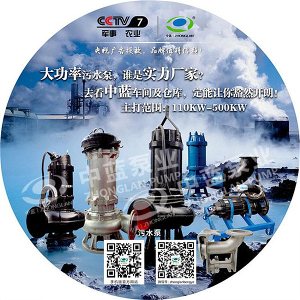 WQ污水污物潜水电泵生产厂家直销批发