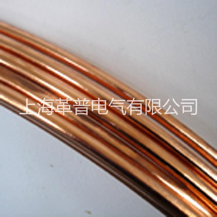上海革普供应镀铜接地圆线图片