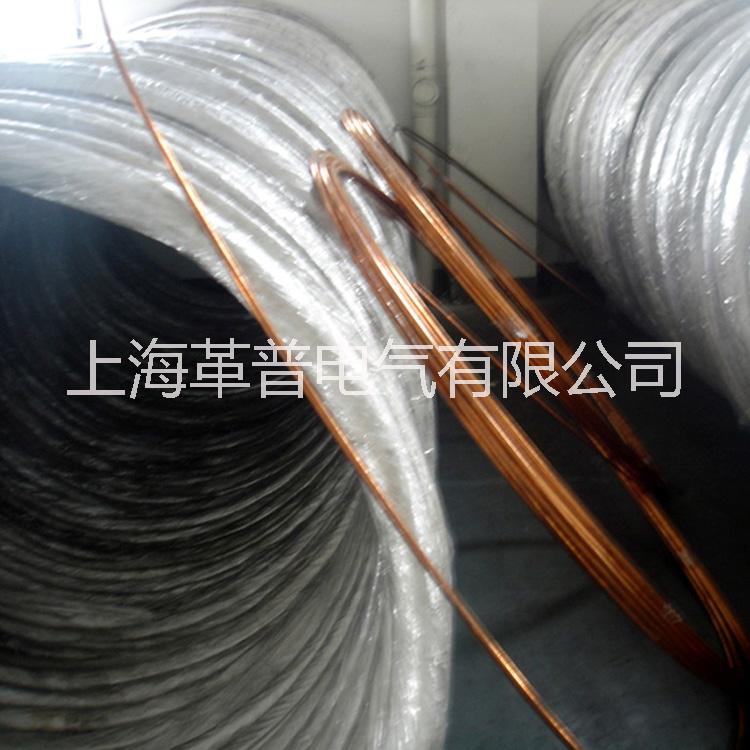 上海革普供应镀铜圆钢防雷接地材料图片