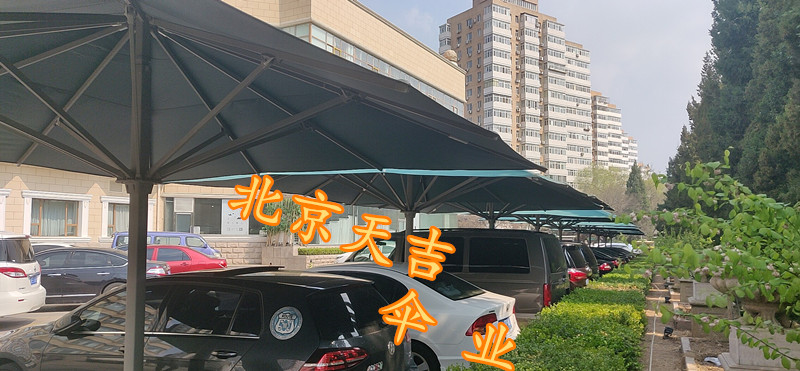 北京市大型遮阳伞罗马伞户外伞厂家