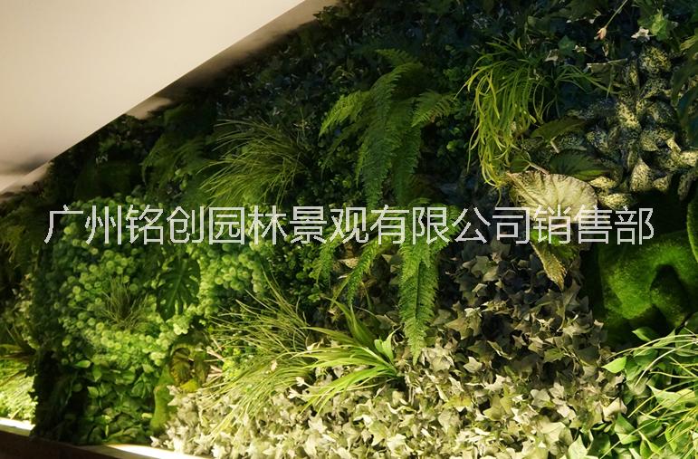 仿真植物墙尤加利绿植背景墙厂家广州铭创图片