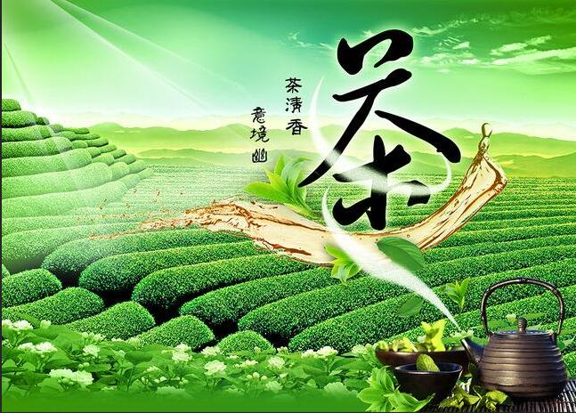 2019上海国际茶博会春季茶叶展5月9日图片