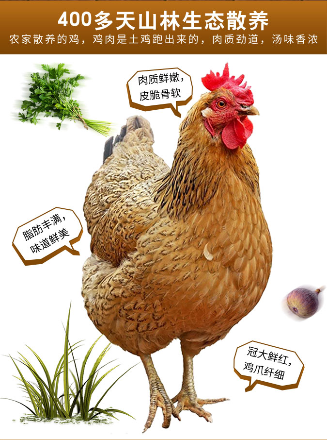广西土百味生态农业发展有限公司
