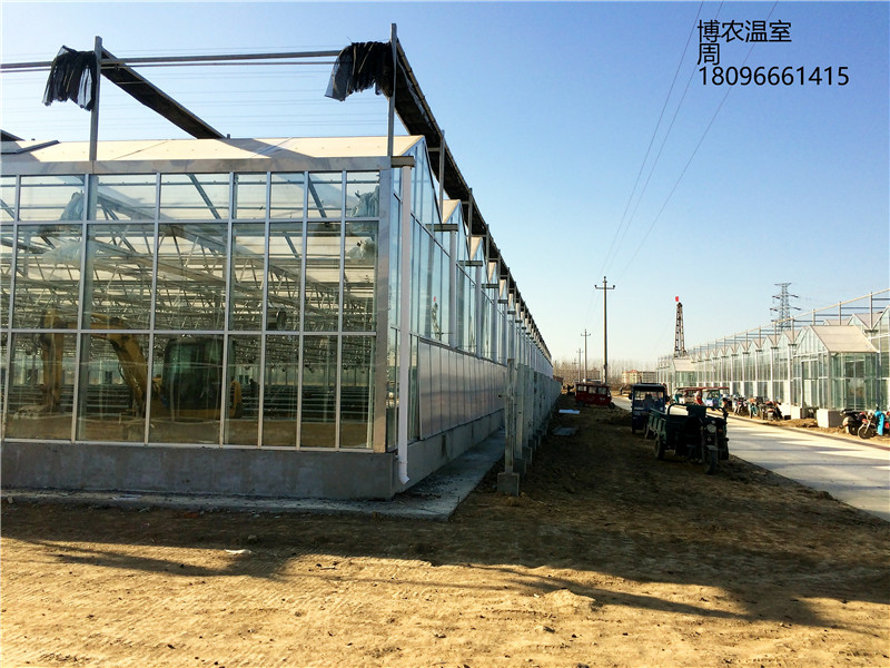 智能玻璃温室 连栋温室及配套系统专用建造安装团队
