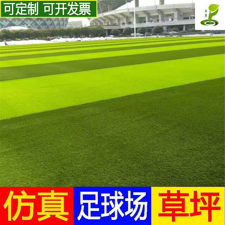 广州丰草足球场绿色人造草坪运动场地仿真人工草学校操场绿色地毯草图片