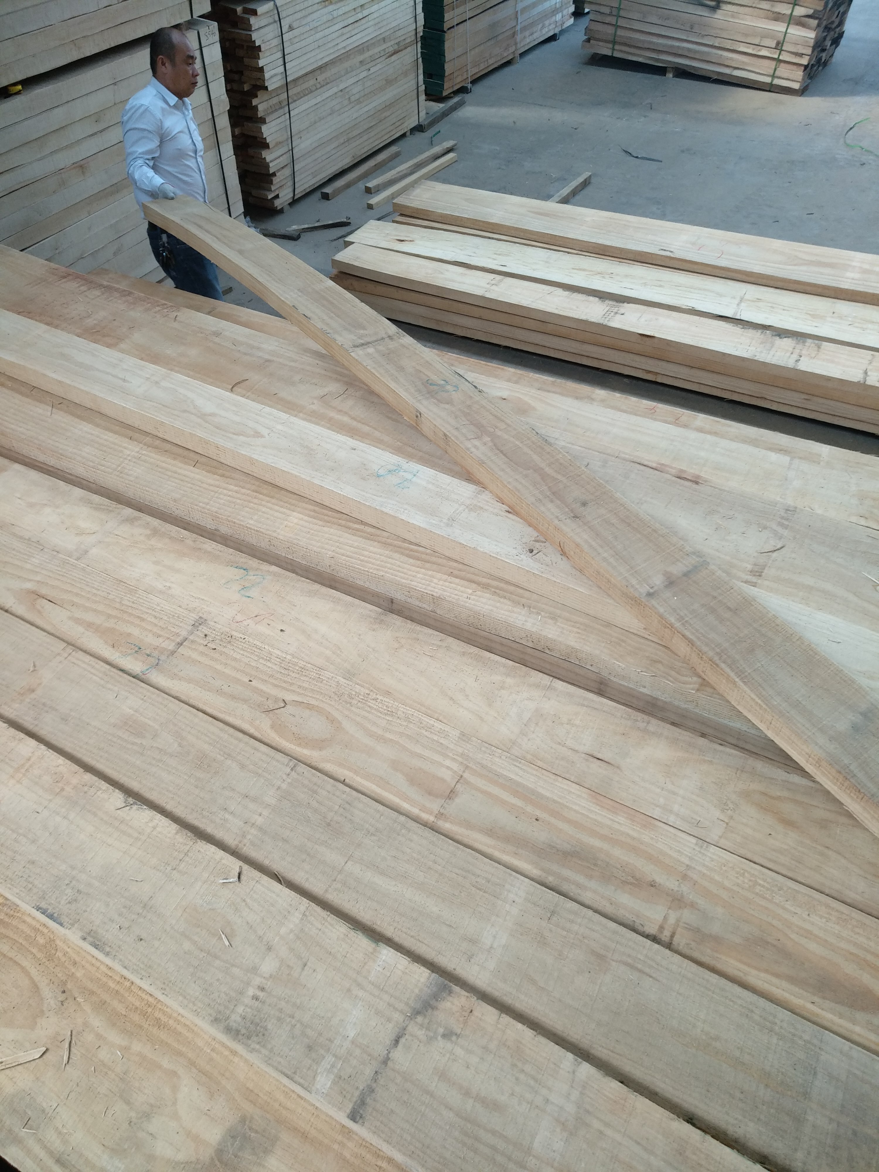 供应新西兰松木板材100%无节