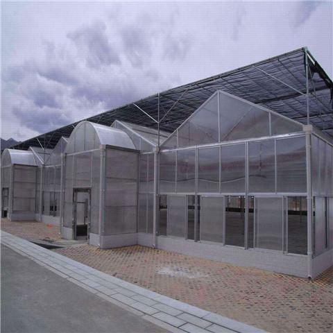 山东阳光板温室|阳光板温室厂家|阳光板温室建造|新型阳光板温室|阳光板温室造价|阳光板温室批发