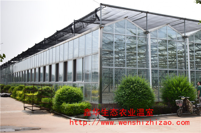 玻璃温室生态餐厅 建设玻璃温室大棚 玻璃温室建设的基础方案