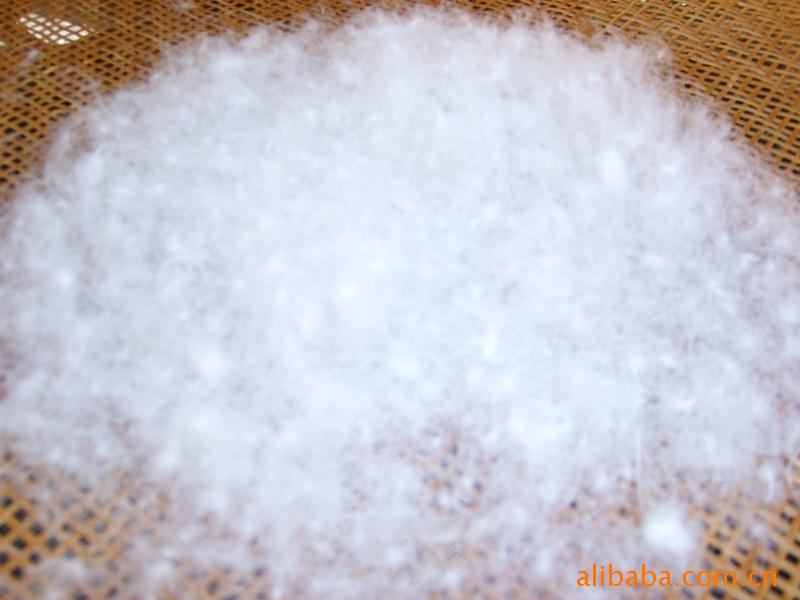 反季羽绒服充的50达标白鸭绒价格|国标检测50白鸭绒