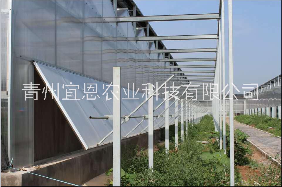 泰安阳光板温室、阳光板温室厂家图片