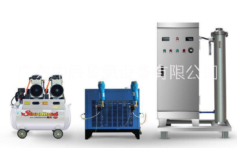 广州蜂窝式150克臭氧发生器广东中辰臭氧蜂窝式150克臭氧发生器厂家图片