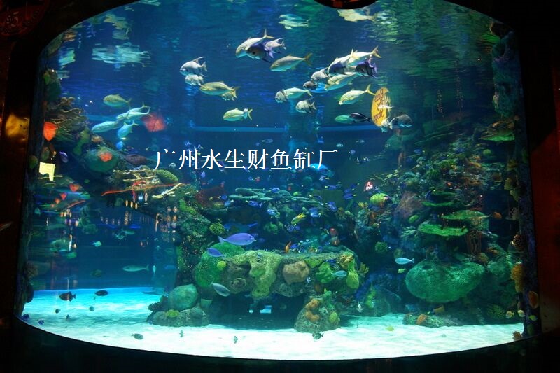 广州鱼缸造景，鱼缸水浑浊广州鱼缸造景，鱼缸水浑浊，定制鱼缸，定做鱼缸